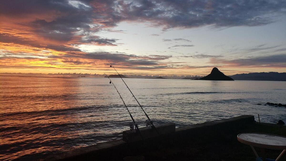 1Br With 1Ba Oceanfront In Beautiful Kualoa Villa Kaneohe Exterior photo