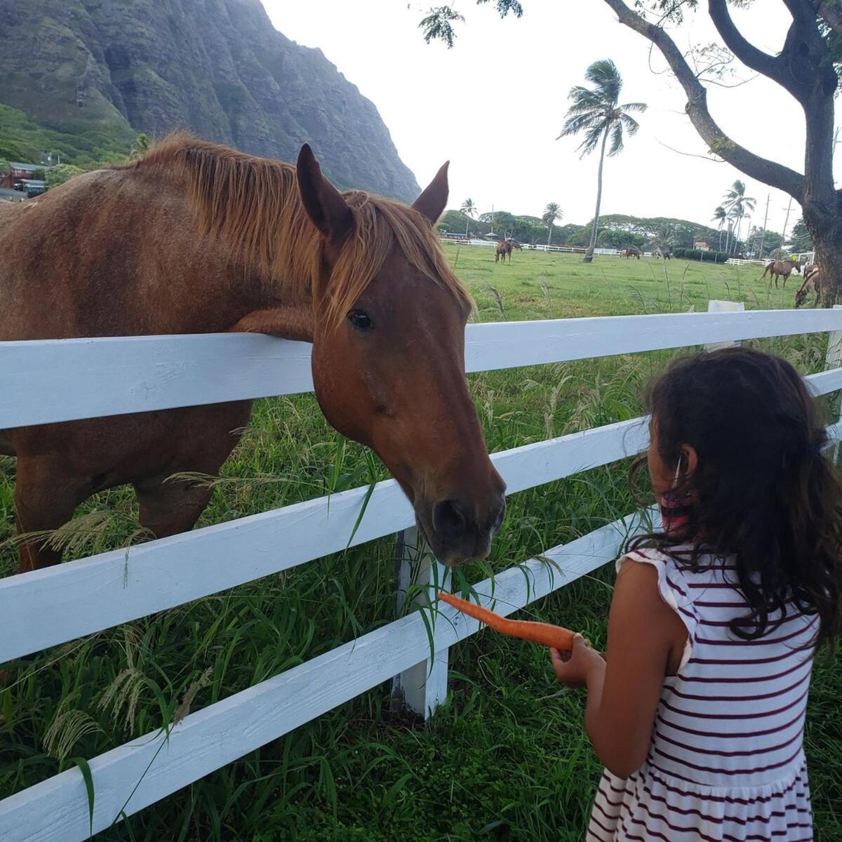 1Br With 1Ba Oceanfront In Beautiful Kualoa Villa Kaneohe Exterior photo